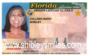 florida drivers record check