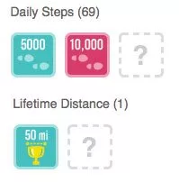 fitbit-badges Fitbit Badges