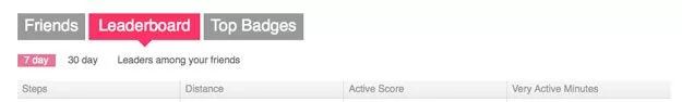 fitbit-ultra-leaderboard fitbit tracking