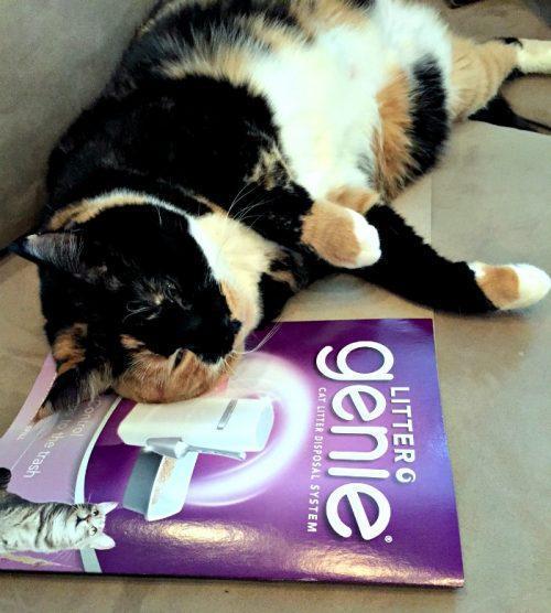 Litter Genie and Fancy Feast the Purrrrfect Combination