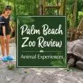 Aldabra tortoise at the Palm Beach Zoo with a large centered Palm Beach Zoo Review Animal Experiences title graphic