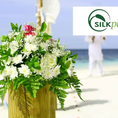 Silk Plants Direct Review: Perfect for Home Decorating