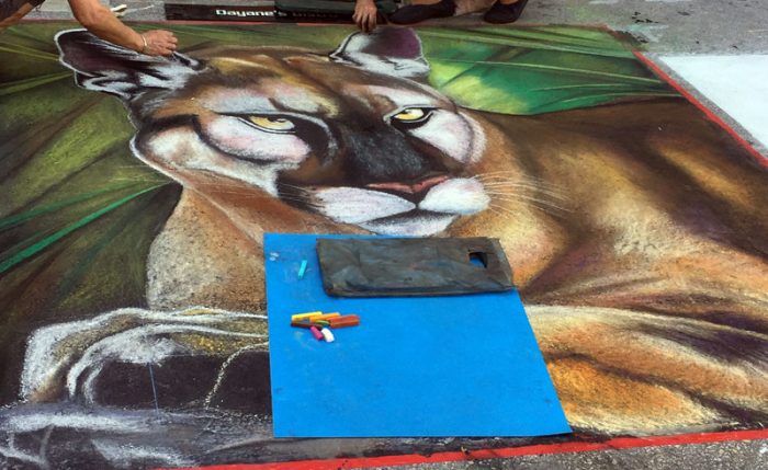 Street Painting Festival Lakeworth Large mountain lion chalk drawing with pastel supplies at the Lake Worth Street Painting Festival.