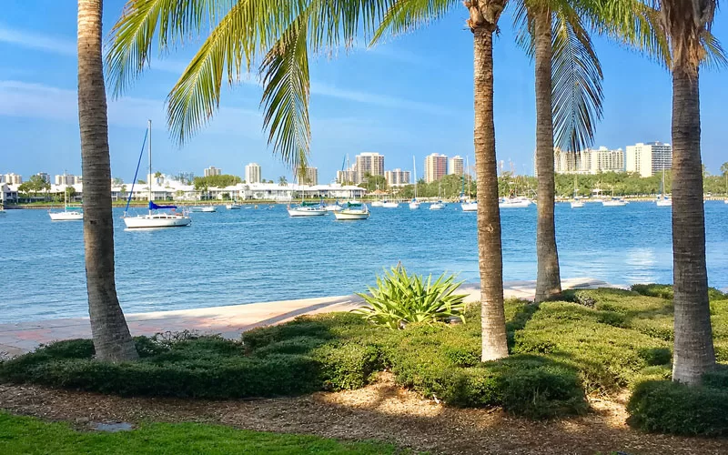 Palm trees and boats along the water at Phil Foster Park