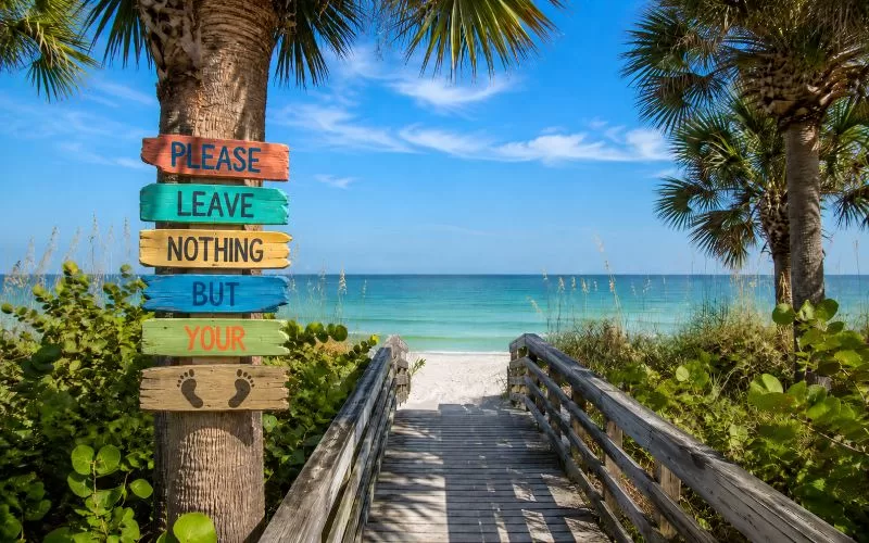 Colorful wooden beach sign on a palm tree beside a boardwalk leading to calm Gulf Coast water.