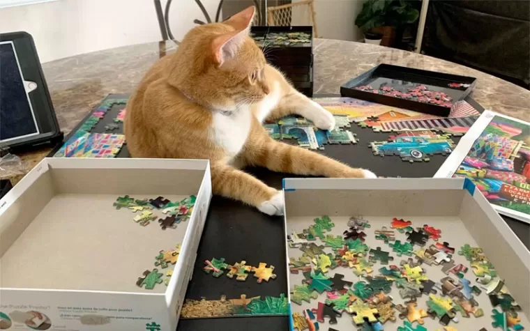 Orange and white cat lying on a partially finished puzzle with puzzle pieces and boxes nearby.