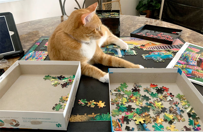 Keep cats off puzzles