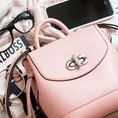 purse essentials