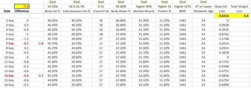 Renpho Scale Review: Everything You Need to Know - Voyageur Tripper