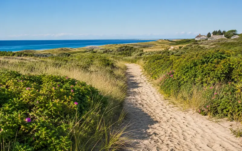 Sandy walking trail through coastal grasses on Nantucket with ocean views in the distance