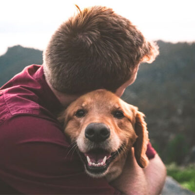 4 Benefits of an Emotional Support Animal
