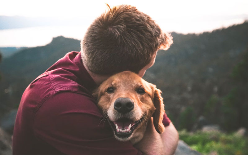 emotional support animal