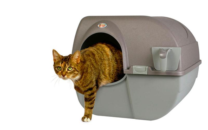 Best Litter Box Omega Paw Roll n Clean