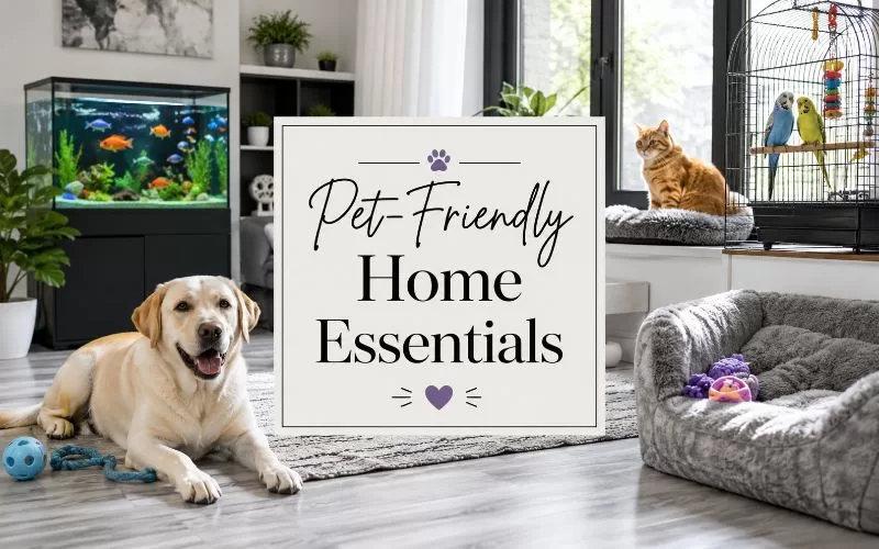 Modern pet-friendly living room with dog, orange cat, birds, fish tank, and title text about home essentials