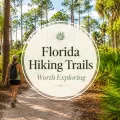 Florida hiking trail with hikers walking through palms and pine trees with a centered Florida Hiking Trails title graphic.