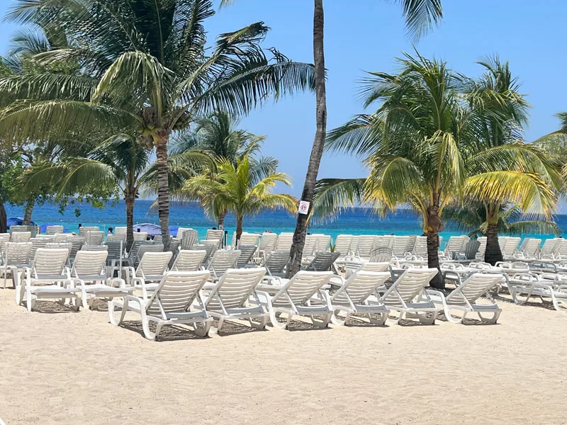 Rows of white lounge chairs on a sandy beach in Cozumel with palm trees and blue ocean in the background.