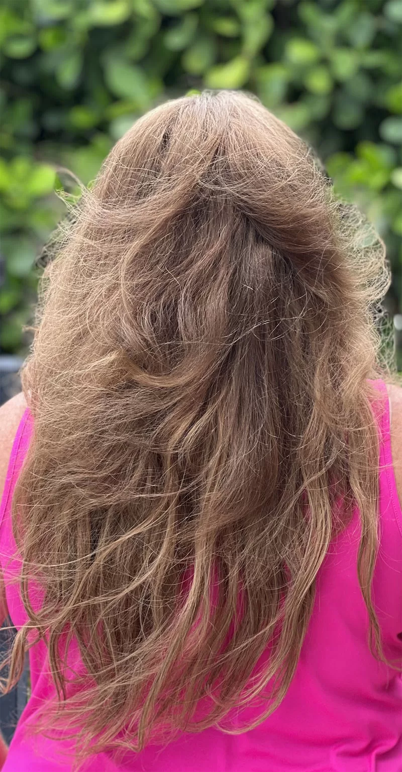 Back view of long caramel balayage clip-in hair extensions blended into layered hair.