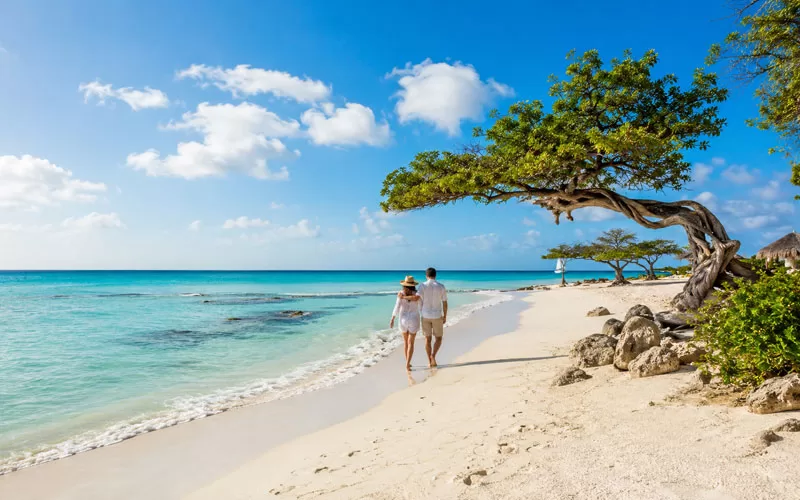 Couple walking along a white sand Aruba beach with turquoise water and windswept trees.