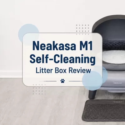 Neakasa M1 Self-Cleaning Litter Box Review: Open-Top Automatic Litter Box