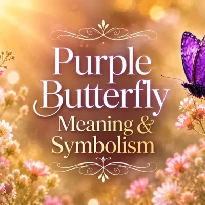 Purple Butterfly Meaning: Symbolism and Spiritual Signs