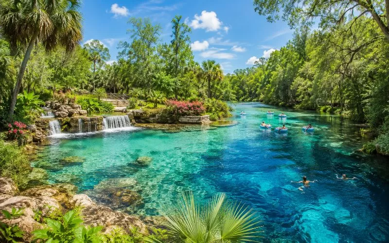 Crystal-clear Florida spring with turquoise water, lush greenery, small waterfalls, and people tubing and swimming on a sunny summer day.