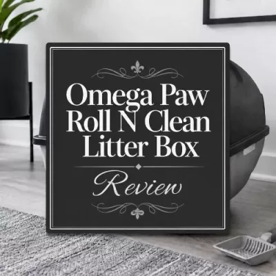 Omega Paw Roll N Clean Litter Box Review title graphic over a modern litter box photo.