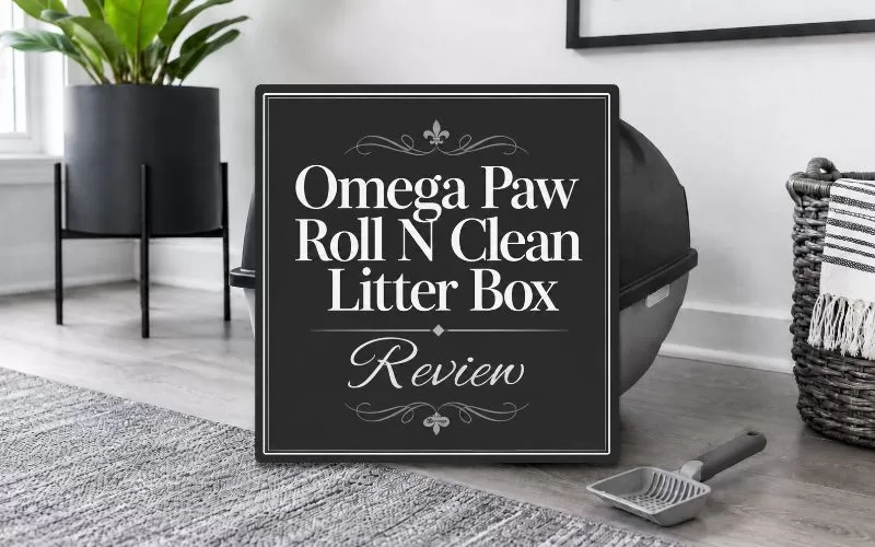 Omega Paw Roll N Clean Litter Box Review title graphic over a modern litter box photo.
