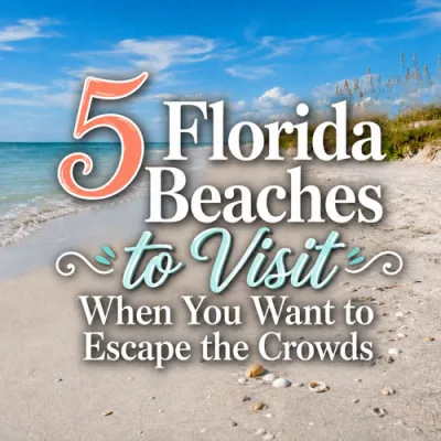 5 Florida Beaches to Visit When You Want to Escape the Crowds