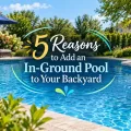 Modern backyard pool with the title 5 Reasons to Add an In-Ground Pool to Your Backyard